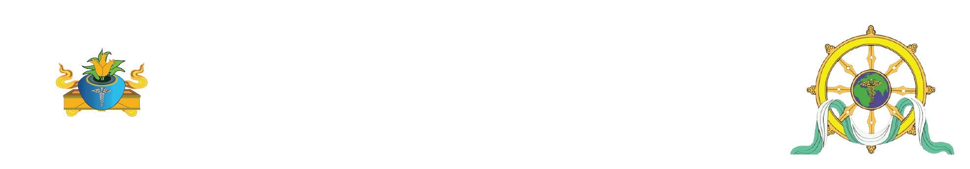 10th International Conference on Medical & Health Sciences