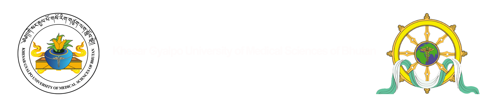 9th International Conference on Medical & Health Sciences